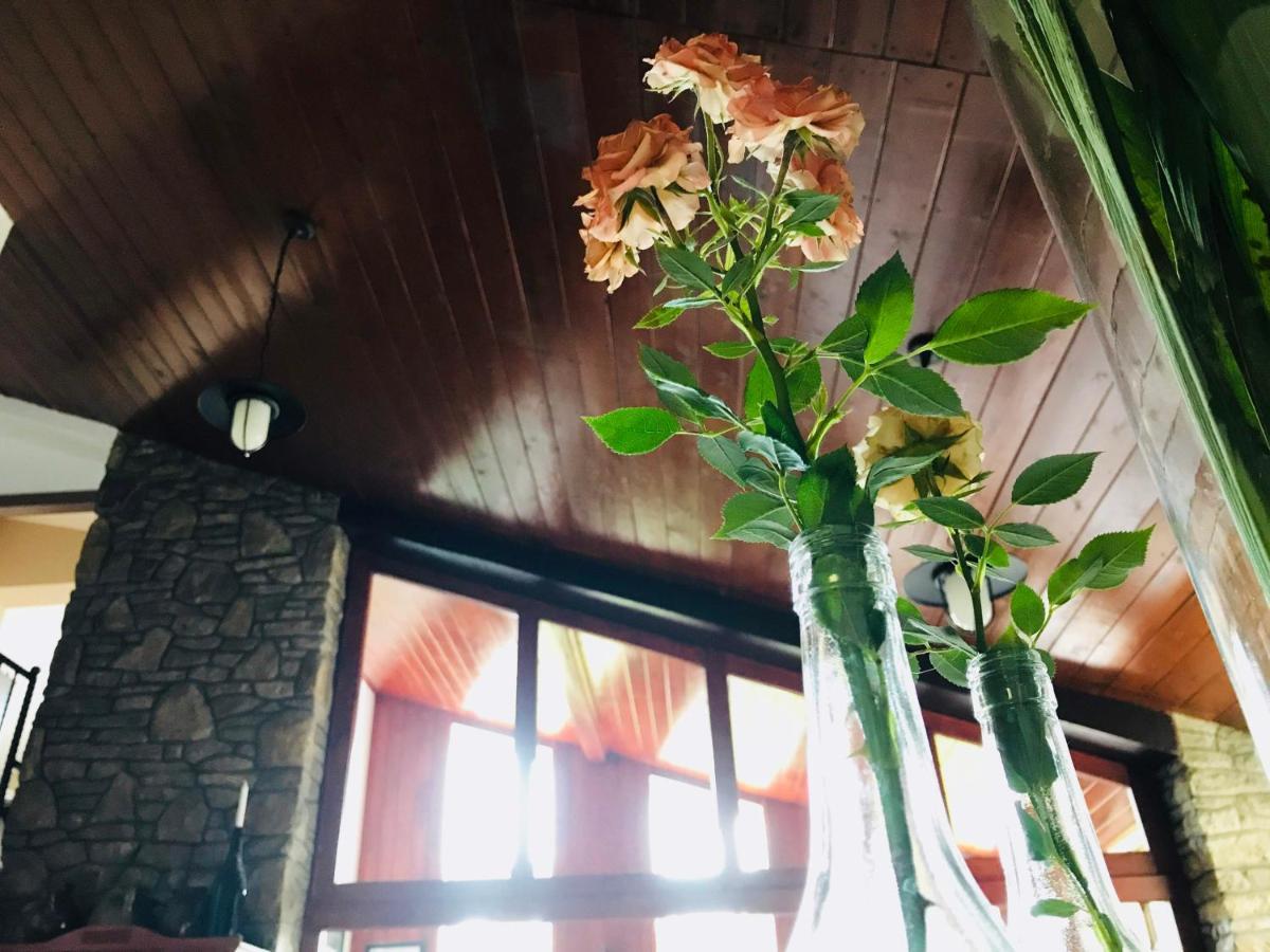 Piroska Villa ヘーヴィーズ エクステリア 写真