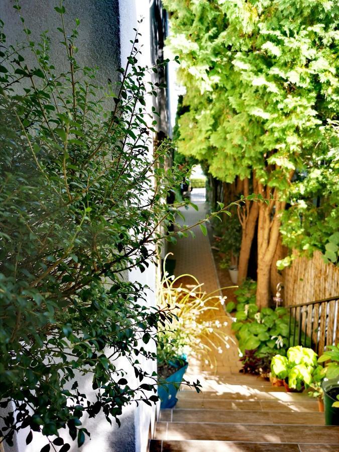 Piroska Villa ヘーヴィーズ エクステリア 写真