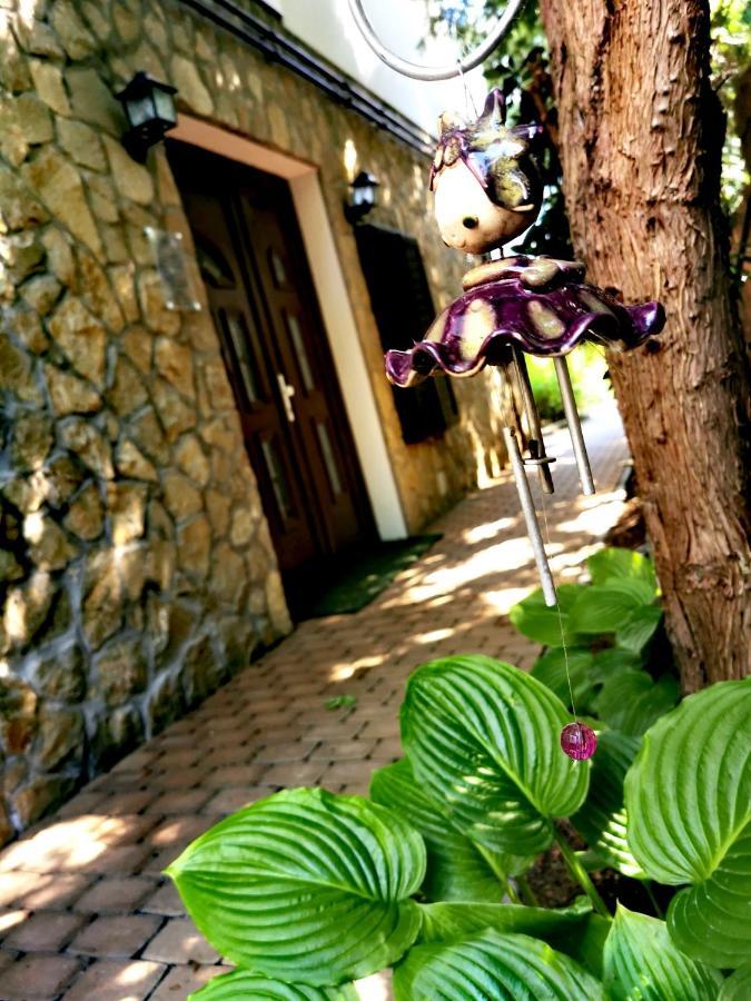 Piroska Villa ヘーヴィーズ エクステリア 写真